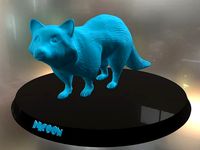Racoon | 3D