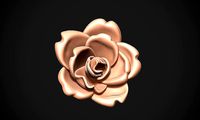 Jasmine Flower | 3D