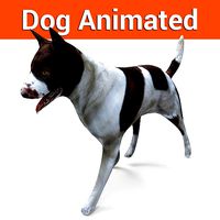 3D Dog animated low poly 3d