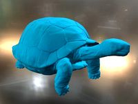 Galapagos Turtle | 3D