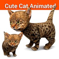 Cute Cartoon Cat Animated