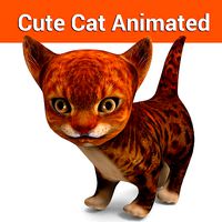 3D cute kitten cat animated model
