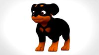 Rottweiler Puppy