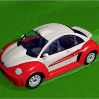cox new bettle wrc