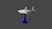 WHITE SHARK ON A STAND | 3D