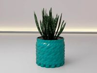 succulent flower pot | 3D