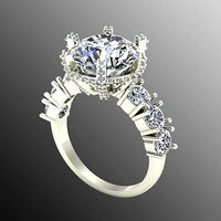 Ring sp10 | 3D
