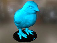 Realistic Chick | 3D