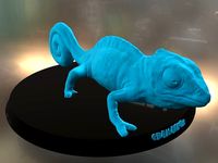 Chameleon | 3D