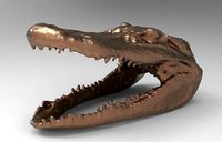 Head 108 | 3D