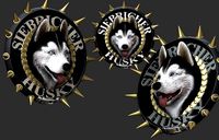 siberian husky | 3D