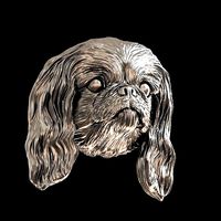 Dog Pekingese head 3D print model | 3D