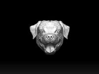 Rottweiler dog head 3d print model  | 3D
