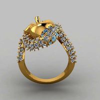 the apple of discord ring | 3D