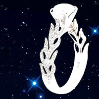 Hidalgo ring | 3D
