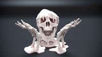 Melted Skull  | 3D