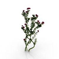 Plant 3D Model