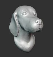 English setter- bust | 3D