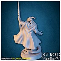 Dragonborn Wizard Miniature Supported- 3D Printable - | 3D