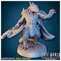 Dragonborn Hexblade Warlock Miniature Supported- 3D Printable - | 3D