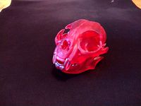Crane de chat skull cat