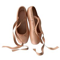 Ballet Shoes - Resting