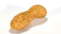 Peanut 3D