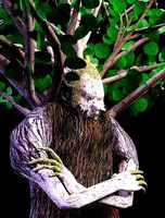 Ent - Drzewiec