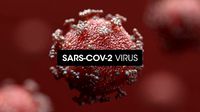 Covid-19 Coronavirus SARS-CoV-2
