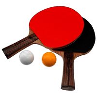 Ping Pong Paddle