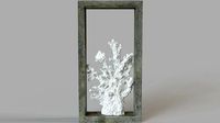 Finger Coral Shadowbox