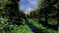 Forest Scene