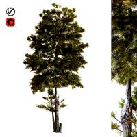 tree 035