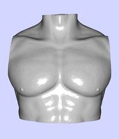 MakeIT Male Bust 3 Piece Top Body Base 3D Model