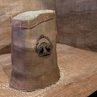 Burlap sacks of grain / rice