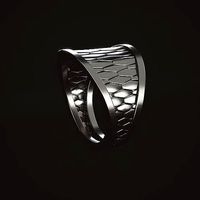 PANAL RING | 3D