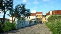 Village
