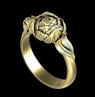 Ring pion | 3D