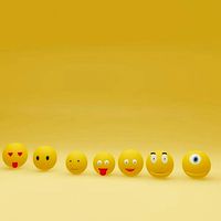 pack of 6 Emoji