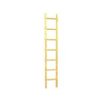Single Straight Wood Ladder v1 001