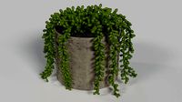 Faux Potted Burros Tail 6 inch