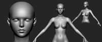 Female Body