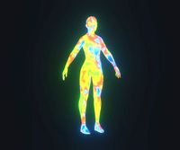 Human Thermal Image Heatmap Female 3D Model
