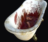 Bathtub horror game ready