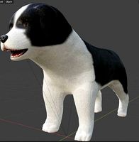 RIGGED PUPPY MODEL BORDER COOLIE