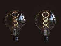 Edison Crown LED bulb