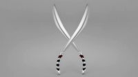 Silver Swords