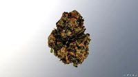 Marijuana Flower 3