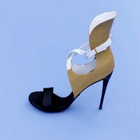Elegant High Heel