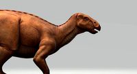 Iguanodon with Animation